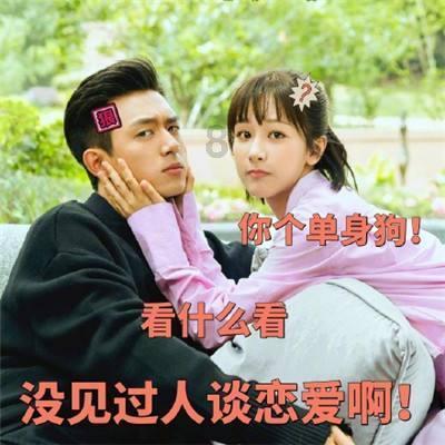 宇宙蜜蜂无敌版